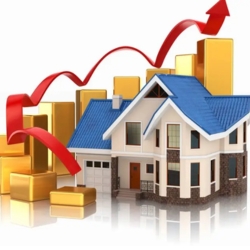Real Estate